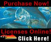 Saltwater Recreational Fishing License Program .